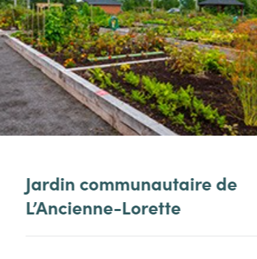 Jardin Comm de l'Ancienne-Lorette.png